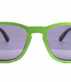 Lunettes de soleil tendance San Diego avec branches robustes et style sportif moderne.