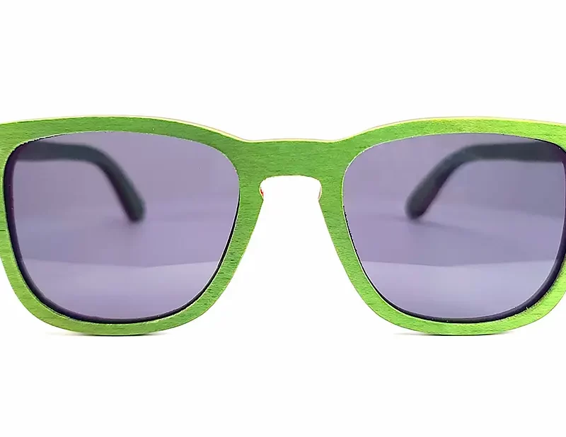 Lunettes de soleil tendance San Diego avec branches robustes et style sportif moderne.