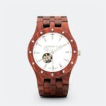 Mouvement japonais Seagull TY2807 de la montre automatique Martin