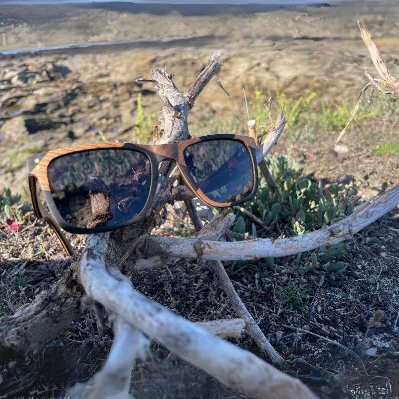 Modèle La Bicolore 087XP en bois durable, parfait pour des visages ronds, ovales ou carrés, avec une conception cousue main garantissant élégance et respect de l'environnement.